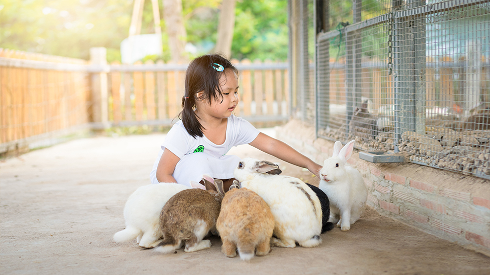5 Ways to Inspire Curiosity in Children
